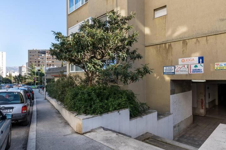 Naomi Apartment